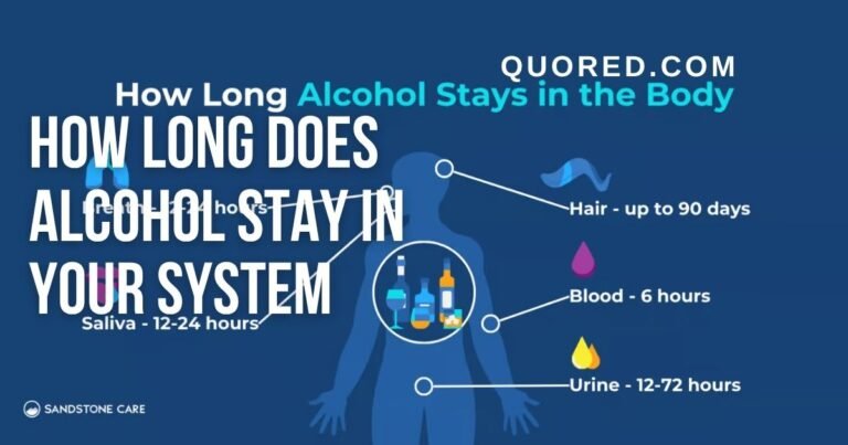 how long does alcohol stay in your system