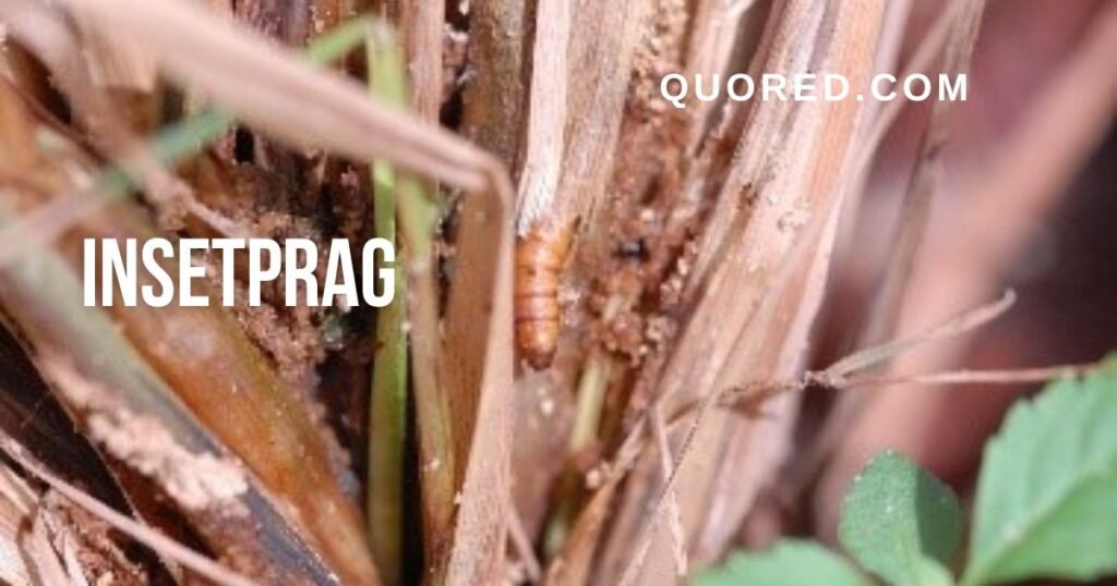 insetprag